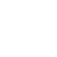 Metro Logo
